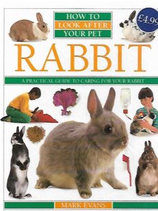 How to look after your pet - Rabbit