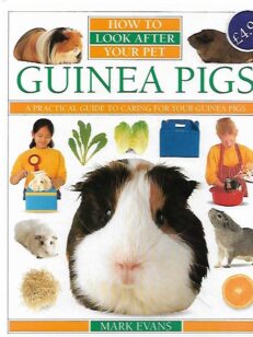 How to look after your pets - Guinea pigs