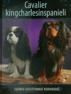 Suomen suosituimmat koirarodut - Cavalier kingcharlesinspanieli ja Kingcharlesinspanieli