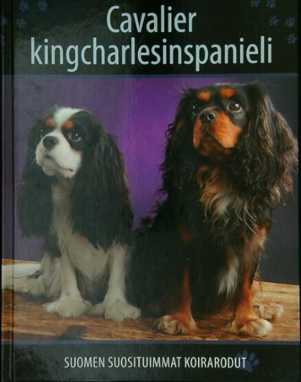 Suomen suosituimmat koirarodut - Cavalier kingcharlesinspanieli ja Kingcharlesinspanieli