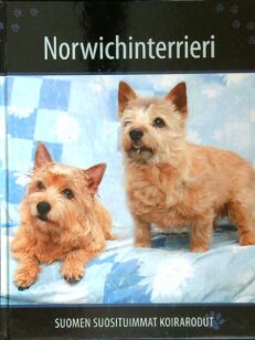 Suomen suosituimmat koirarodut - Norwichinterrieri