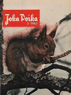 Joka Poika 2/1965
