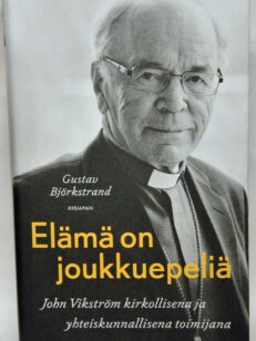 Elämä on joukkuepeliä - John Vikström kirkollisena ja yhteiskunnallisena toimijana
