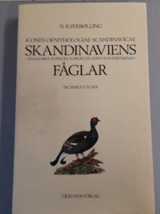 Icones ornithologiae scandinavicae Skandinaviens fåglar - Danmarks, sveriges, norges och färöarnas (kotelossa)