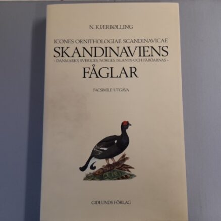 Icones ornithologiae scandinavicae Skandinaviens fåglar - Danmarks, sveriges, norges och färöarnas (kotelossa)