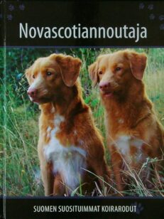 Suomen suosituimmat koirarodut - Novascotiannoutaja
