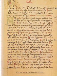 Codex Aboensis - Turun käsikirjoitus - Kommentaarit ja suomennokset
