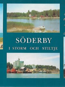 Söderby - I storm och stiltje : En berättelse om en lotsby och havet där utanför