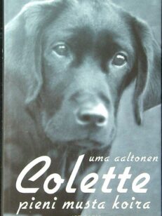 Colette, pieni musta koira