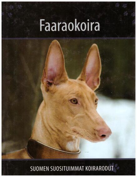 Suomen suosituimmat koirarodut - Faaraokoira