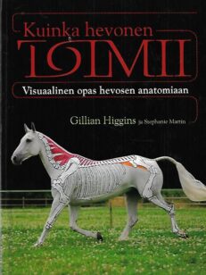 Kuinka hevonen toimii - Visuaalinen opas hevosen anatomiaan