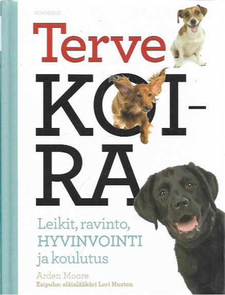 Terve koira