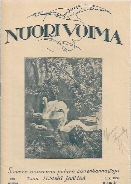 Nuori Voima (N:o 19, 1924)