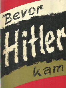 Bevor Hitler Kam