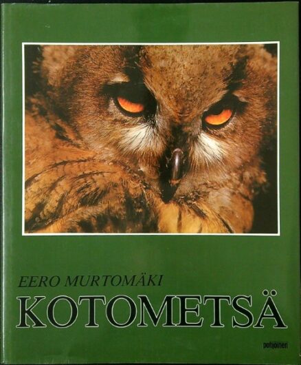 Kotometsä