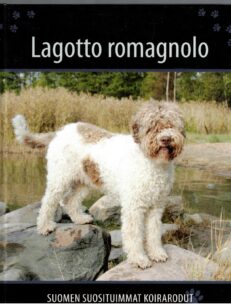 Suomen suosituimmat koirarodut - Lagotto romagnolo