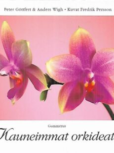 Kauneimmat orkideat