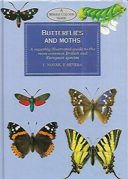 Butterflies and Moths