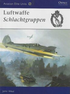 Luftwaffe Schlachtgruppen Aviation Elite Units 13