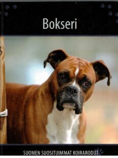 Suomen suosituimmat koirarodut - Bokseri
