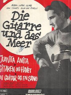 Die Gitarre una das Meer