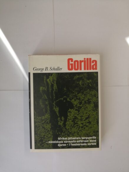 Gorilla