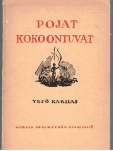 Pojat kokoontuvat - Ajatuksia poikien kristillisestä kasvatuksesta