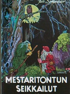 Mestaritontun seikkailut