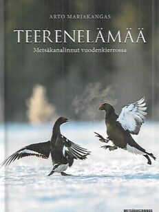 Teerenelämää - Metsäkanalinnut vuodenkierrossa