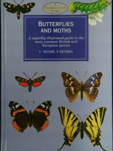 Butterflies and Moths - A Magna Colour Guide