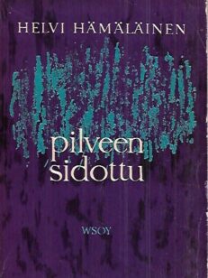 Pilveen sidottu