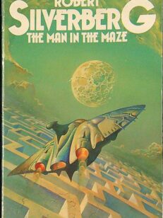 The Man in the Maze