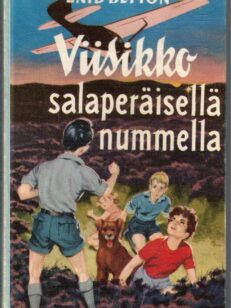 Viisikko salaperäisellä nummella