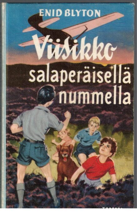 Viisikko salaperäisellä nummella