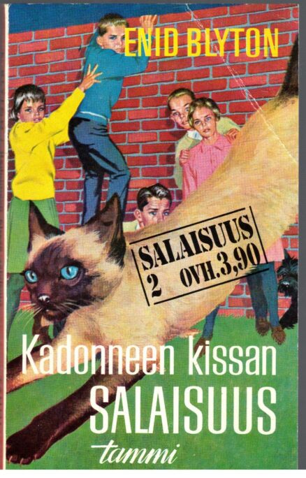 Kadonneen kissan salaisuus