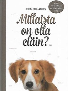 Millaista on olla eläin?