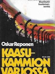 Kaasukammion varjossa