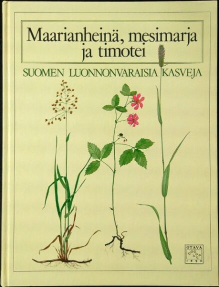 Maarianheinä mesimarja ja timotei - Suomen lunnonvaraisia kasveja