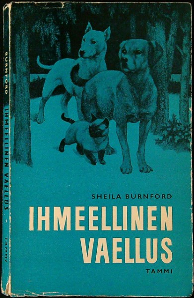 Ihmeellinen vaellus