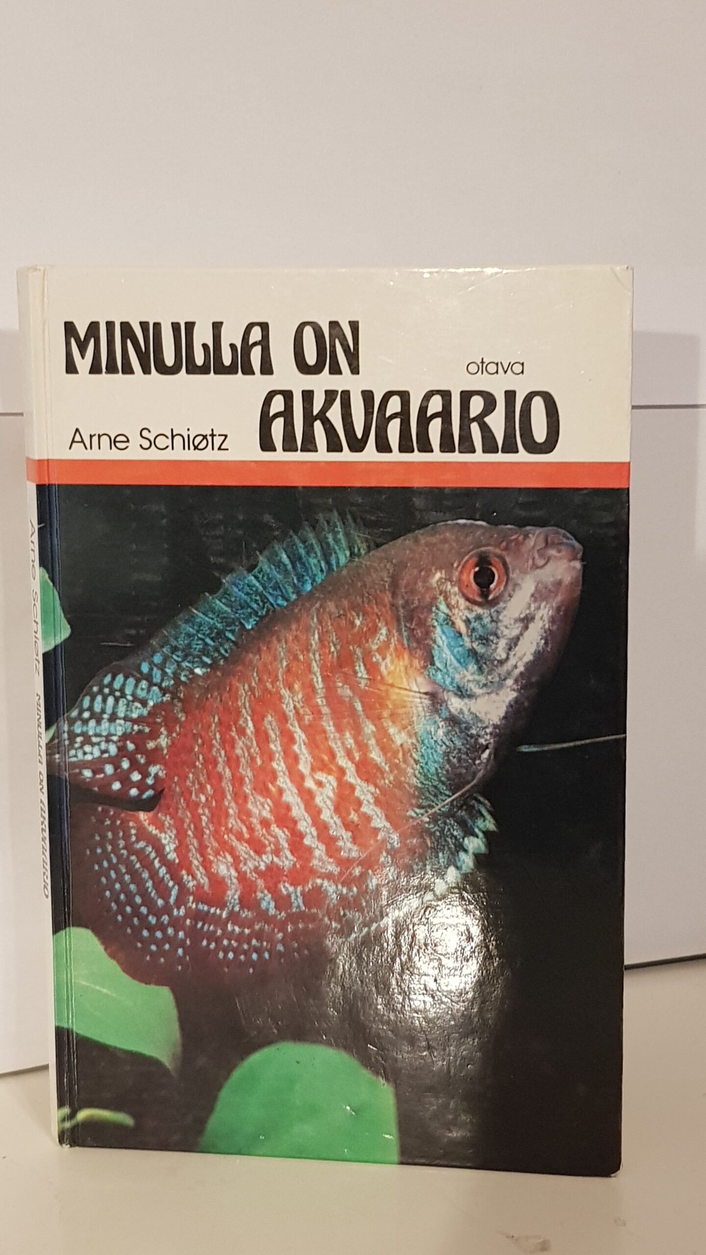 Minulla on akvaario