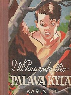 Palava kylä