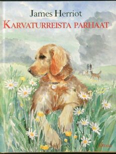 Karvaturreista parhaat