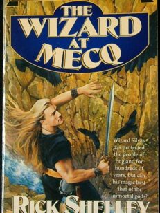 The Wizard at Mecq (The Seven Towers)