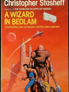 A Wizard in Bedlam