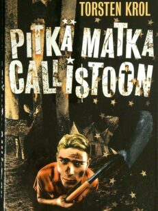 Pitkä matka Callistoon