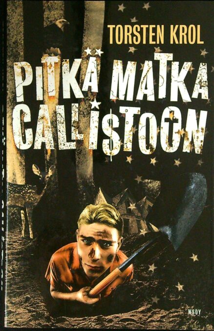 Pitkä matka Callistoon